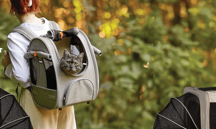 Premium Dog & Cat Products Investment for the Australian Market