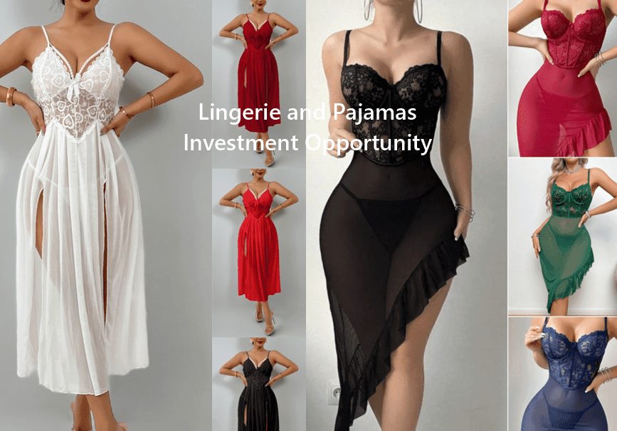 Investment Opportunity: Ready-Stock Ladies’ Lingerie & Pajamas Business